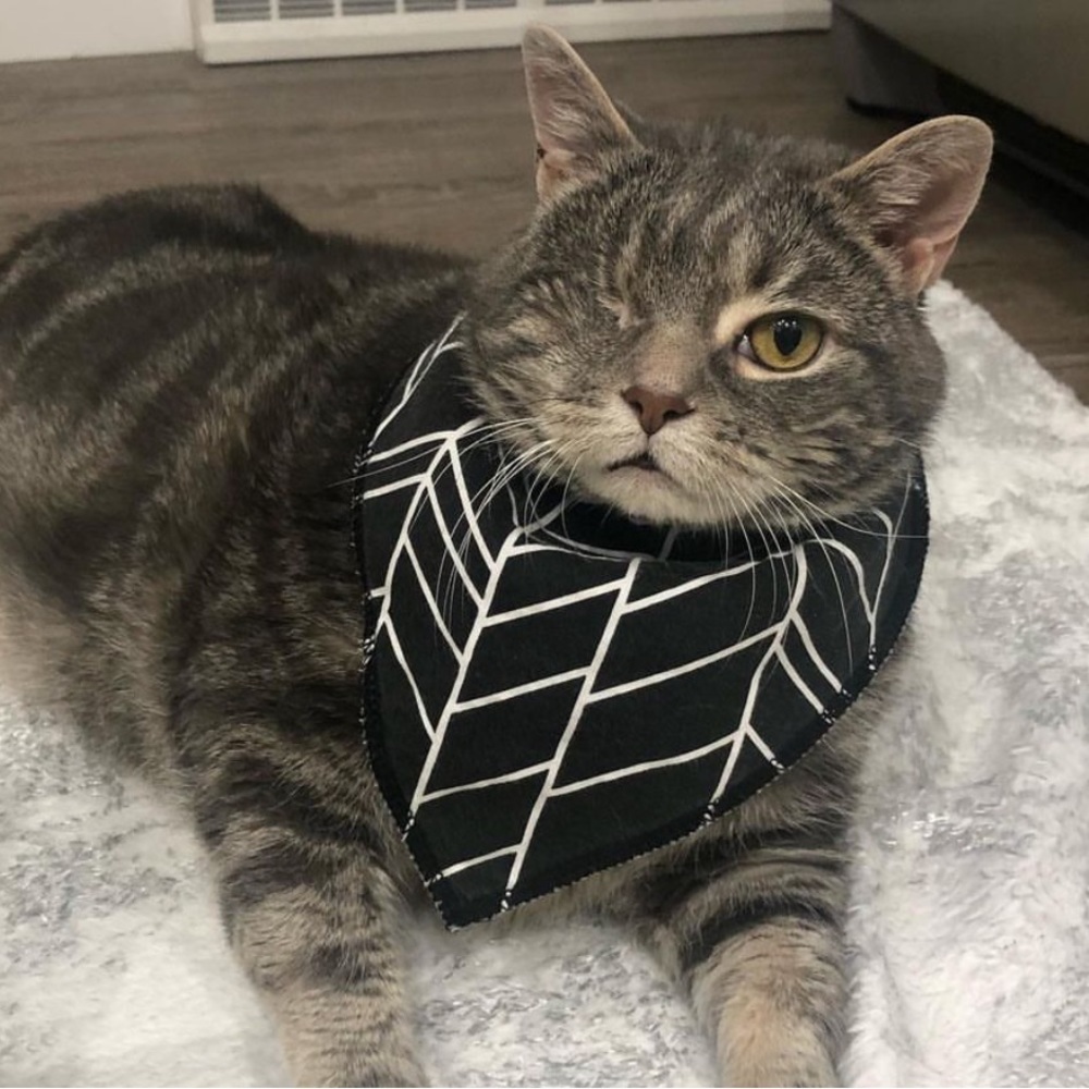 Little Guy’s black & white handkerchief